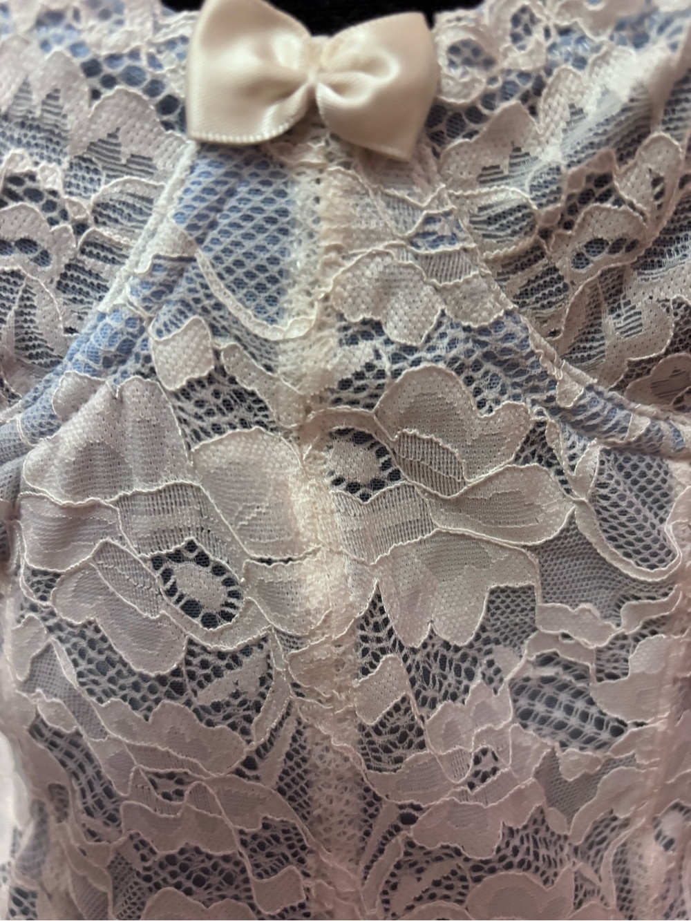 Pastel Blue & White Coquette Floral Lace Sheer Bow Corset Bustier Top - Medium - Picture 3 of 16